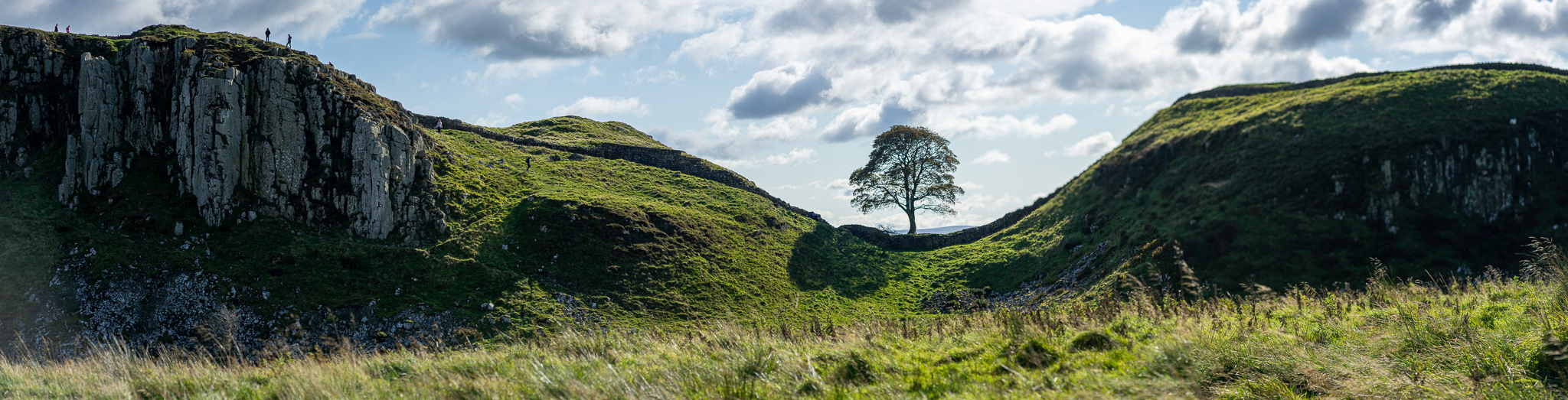 The Sycamore Gap tree beside Hadrian’s Wall in October 2020, before it was felled.
