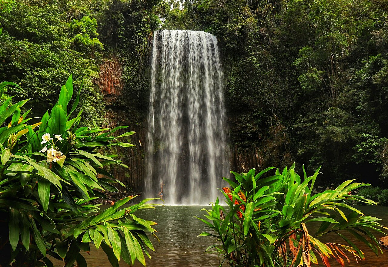 Archival photograph of Millaa Millaa Falls and its pool in Queensland, taken in 2019; it does not show the 2026 emergency.