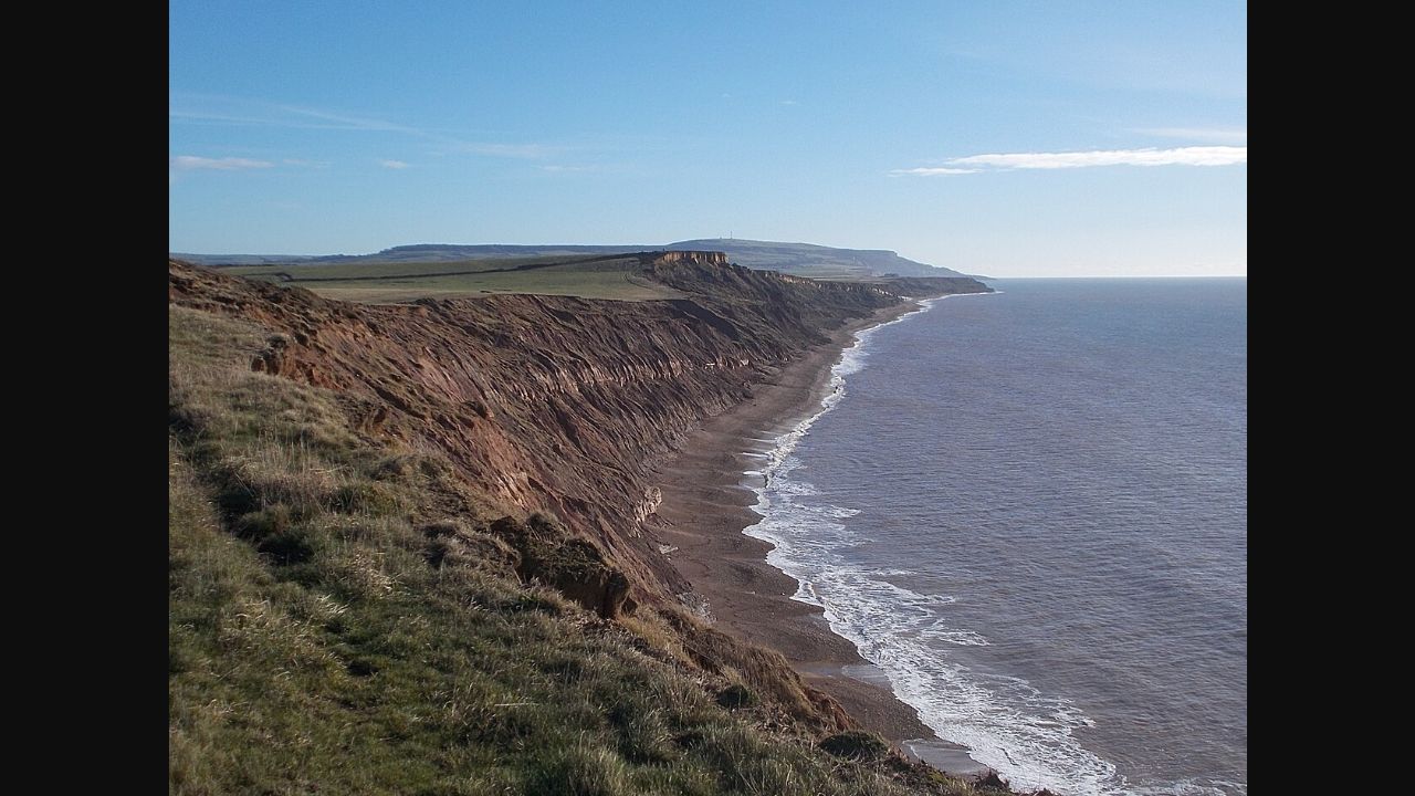 Archival view of Brighstone Bay cliffs on the Isle of Wight; this is not the Invictibellatrix fossil or its exact discovery spot